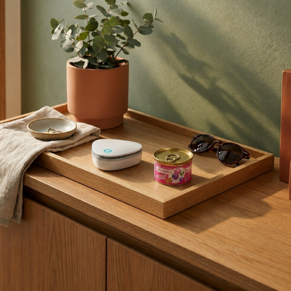 CalmAir™ Pure Home Duo - view 3